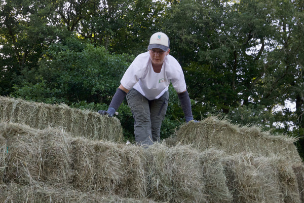 Hooien op OlmenEs: samen aan het werk
